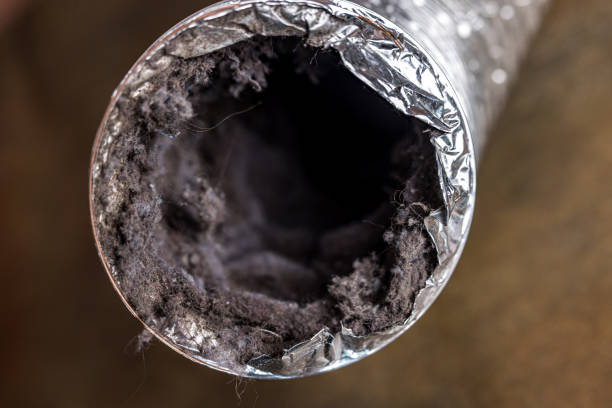 Best Ductwork Cleaning Services  in Ogden, IA