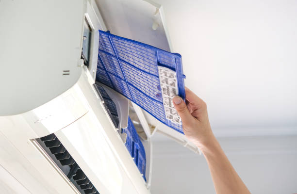 Air Duct Mold Removal in Ogden, IA