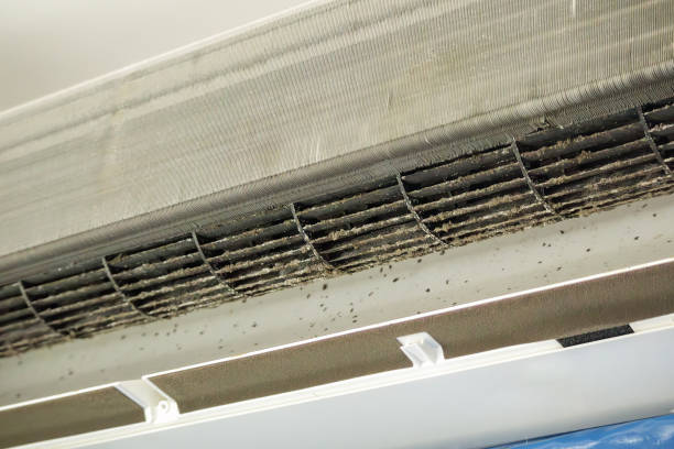 Best Best Air Duct Cleaning Company  in Ogden, IA